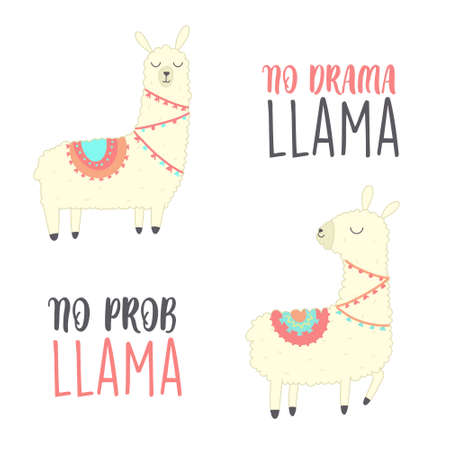 No drama Llama. Cute Llama Illustration. Cute alpaca cartoon character. Can be used for card design, greeting or invitation card, nursery, and other.のイラスト素材