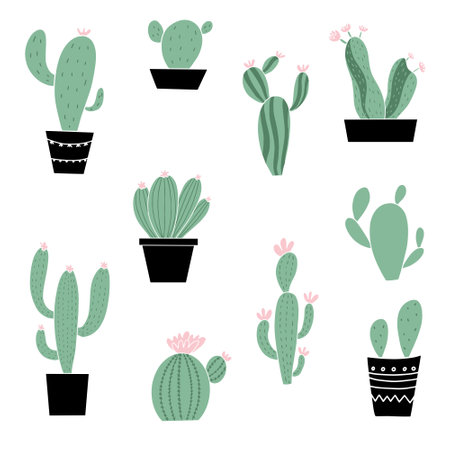 Cactuses in pots. Cactuses in pots. Vector illustrationのイラスト素材