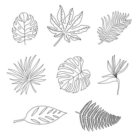 Set of hand drawn tropical leaves. Black and white vector illustration.のイラスト素材