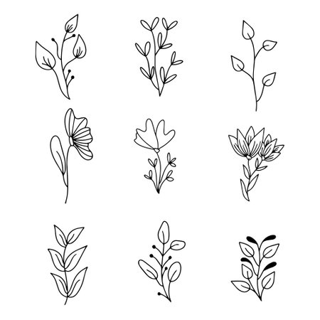 Vector set of hand drawn doodle floral dividers and borders. Hand drawn elements flowers, branches, leaves, wreaths, flourishes.のイラスト素材