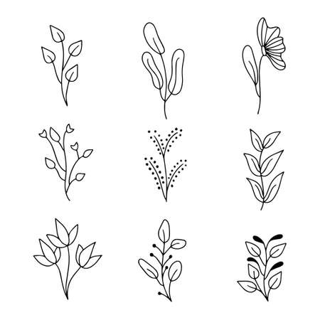 Vector set of hand drawn doodle floral dividers and borders. Hand drawn elements flowers, branches, leaves, wreaths, flourishes.のイラスト素材