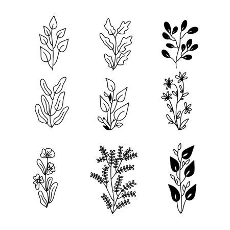 Vector set of hand drawn doodle floral dividers and borders. Hand drawn elements flowers, branches, leaves, wreaths, flourishes.のイラスト素材