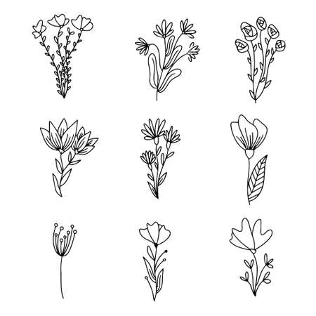 Vector set of hand drawn doodle floral dividers and borders. Hand drawn elements flowers, branches, leaves, wreaths, flourishes.のイラスト素材