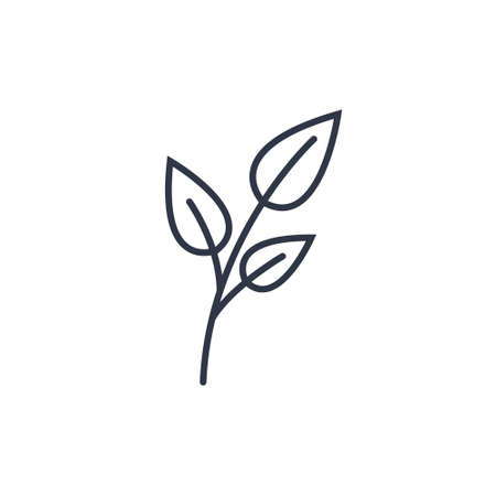 Vector set of hand drawn doodle floral dividers and borders. Hand drawn elements flowers, branches, leaves, wreaths, flourishes.のイラスト素材