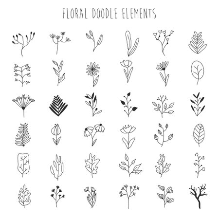 Vector set of handdrawn doodle frames and borders. Handdrawn elements, flowers, branches, swashes and flourishes.のイラスト素材