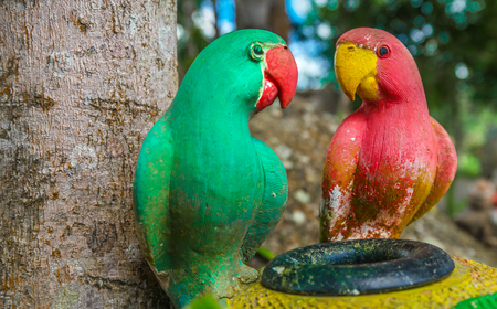 Parrots red and green statue in garden koh samui,thailand