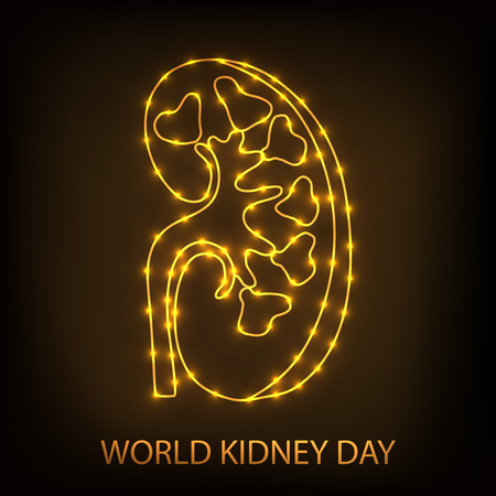 World Kidney Day.のイラスト素材
