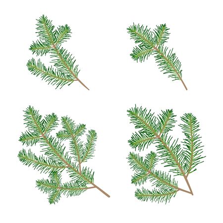 Christmas tree branches set. Isolated on white. Vector illustrationのイラスト素材