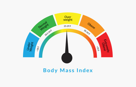 Body Mass Index Infographic Chart. Colorful BMI Chart Vector Illustration With White Isolated Backgroundのイラスト素材
