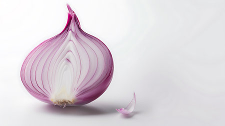 A close up of a onion isolated on white backgroundの素材