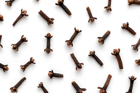 Cloves isolated on white backgroundの素材