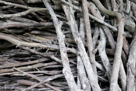 Pile of intertwined, aged, and weathered twigs natural background texture for crafts and designの写真素材