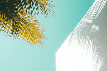 Minimalist view of a palm frond against a clear turquoise sky, adjacent to a white wall where the fronds cast a stark shadow. Abstract tropical design element.の素材