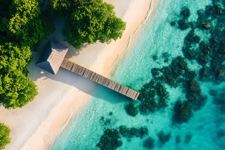 An aerial shot showcasing a wooden pier extending from a pristine white sand beach into the stunning turquoise waters. Lush greenery frames the scene above reef formations below the water's surface.の素材