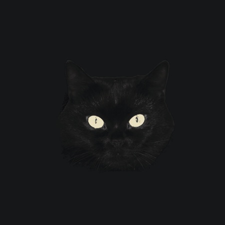 Black cat eyesのイラスト素材