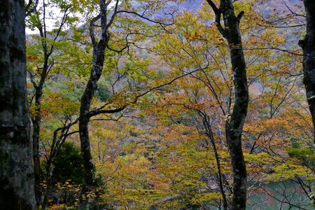 Four Seasons of Lake Twelve, Fukaura Town, Aomori Prefectureの写真素材