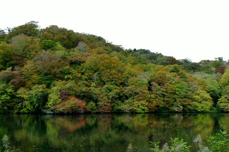 "Four seasons of J?niko" Fukaura Town Aomoriの写真素材