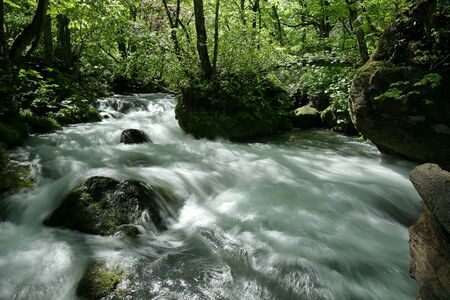 "Oirase Mountain Stream", Towada City, Aomori Prefectureの写真素材