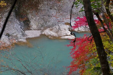 "Autumn Leaves in the Dakigaeri Valley", Senboku City, Akita Prefectureの写真素材