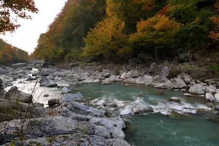 "Autumn Leaves in the Dakigaeri Valley", Senboku City, Akita Prefectureの写真素材