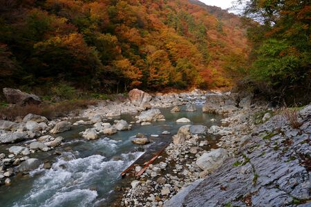 "Autumn Leaves in the Dakigaeri Valley", Senboku City, Akita Prefectureの写真素材