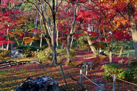 Former Ikeda Family Japanese Garden , Akita, Japan