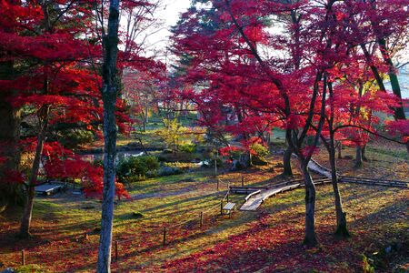 Former Ikeda Family Japanese Garden , Akita, Japan