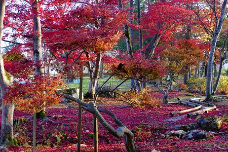 Former Ikeda Family Japanese Garden , Akita, Japanの写真素材