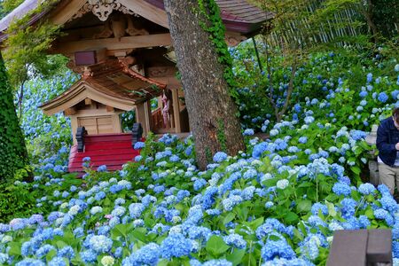 Unshoji Temple, Oga City, Akita Prefecture Japanの写真素材