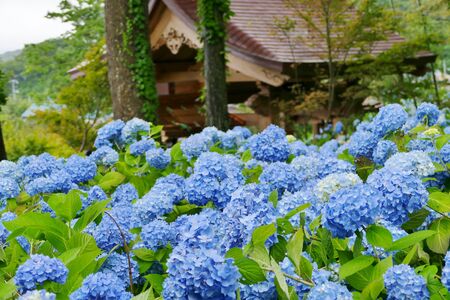 Unshoji Temple, Oga City, Akita Prefecture Japanの写真素材