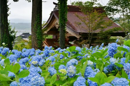 Unshoji Temple, Oga City, Akita Prefecture Japanの写真素材