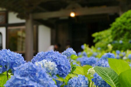 Unshoji Temple, Oga City, Akita Prefecture Japanの写真素材