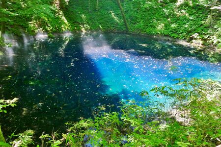 "Aoike of Juni Lake", Fukaura Town, Aomori Prefecture Japanの写真素材