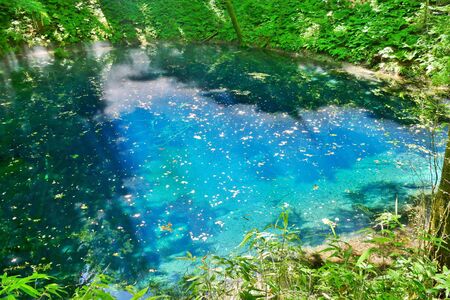 "Aoike of Juni Lake", Fukaura Town, Aomori Prefecture Japanの写真素材