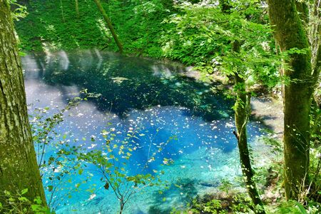 "Aoike of Juni Lake", Fukaura Town, Aomori Prefecture Japanの写真素材