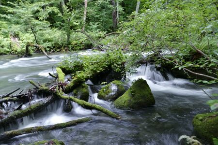 Oirase Mountain Stream, Towada City, Aomori Prefecture Japan
