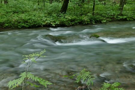 "Oirase Mountain Stream", Towada City, Aomori Prefecture Japanの写真素材