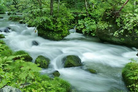 "Oirase Mountain Stream", Towada City, Aomori Prefecture Japanの写真素材