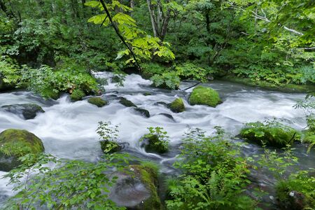 "Oirase Mountain Stream", Towada City, Aomori Prefecture Japanの写真素材