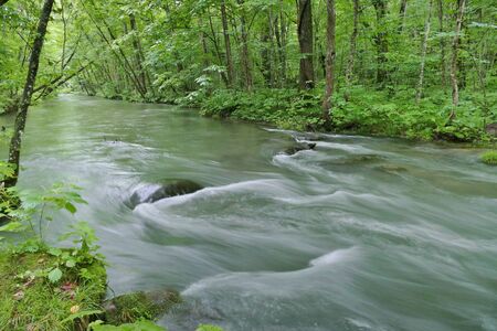 "Oirase Mountain Stream", Towada City, Aomori Prefecture Japanの写真素材