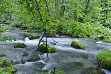 "Oirase Mountain Stream", Towada City, Aomori Prefecture Japanの写真素材