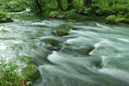 "Oirase Mountain Stream", Towada City, Aomori Prefecture Japanの写真素材