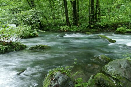 "Oirase Mountain Stream", Towada City, Aomori Prefecture Japanの写真素材
