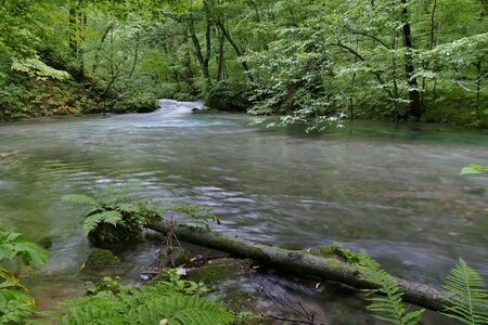 "Oirase Mountain Stream", Towada City, Aomori Prefecture Japanの写真素材