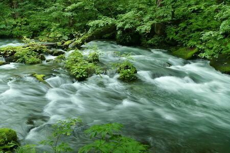 "Oirase Mountain Stream", Towada City, Aomori Prefecture Japanの写真素材