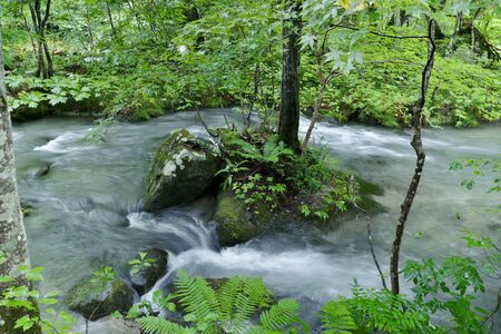 "Oirase Mountain Stream", Towada City, Aomori Prefecture Japanの写真素材