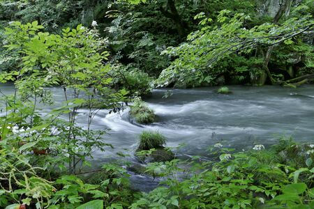 "Oirase Mountain Stream", Towada City, Aomori Prefecture Japanの写真素材