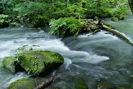 "Oirase Mountain Stream", Towada City, Aomori Prefecture Japanの写真素材