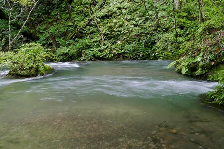 "Oirase Mountain Stream", Towada City, Aomori Prefecture Japanの写真素材