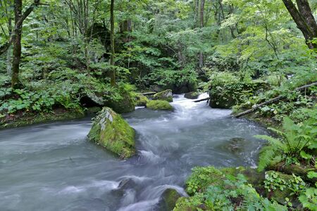 "Oirase Mountain Stream", Towada City, Aomori Prefecture Japanの写真素材